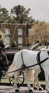 wedding-carriage-02