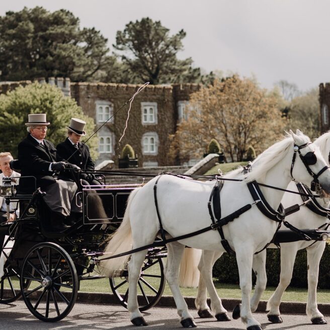 wedding-carriage-02