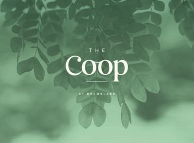 Coop web banner2 (1)