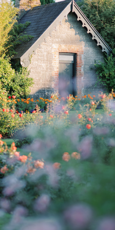 A picturesque garden at Dromoland Castle, featuring vibrant roses and lush greenery surrounding a quaint stone outbuilding, bathed in soft evening light.