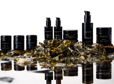Luxurious spa products elegantly displayed with natural seaweed, offering a serene wellness experience.