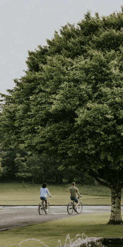 Couples leisurely cycle through the serene, tree-lined pathways of Dromoland Castle's lush estate in County Clare, Ireland.