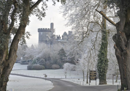 Frosty Snowy Castle Avenue 